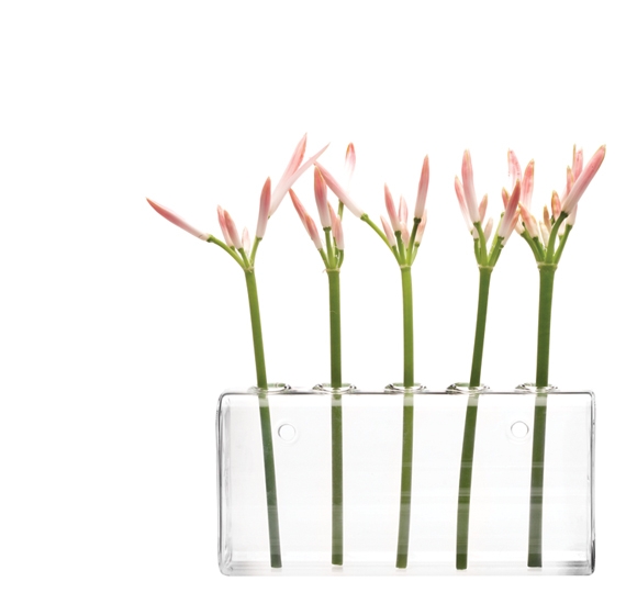 chive-clear