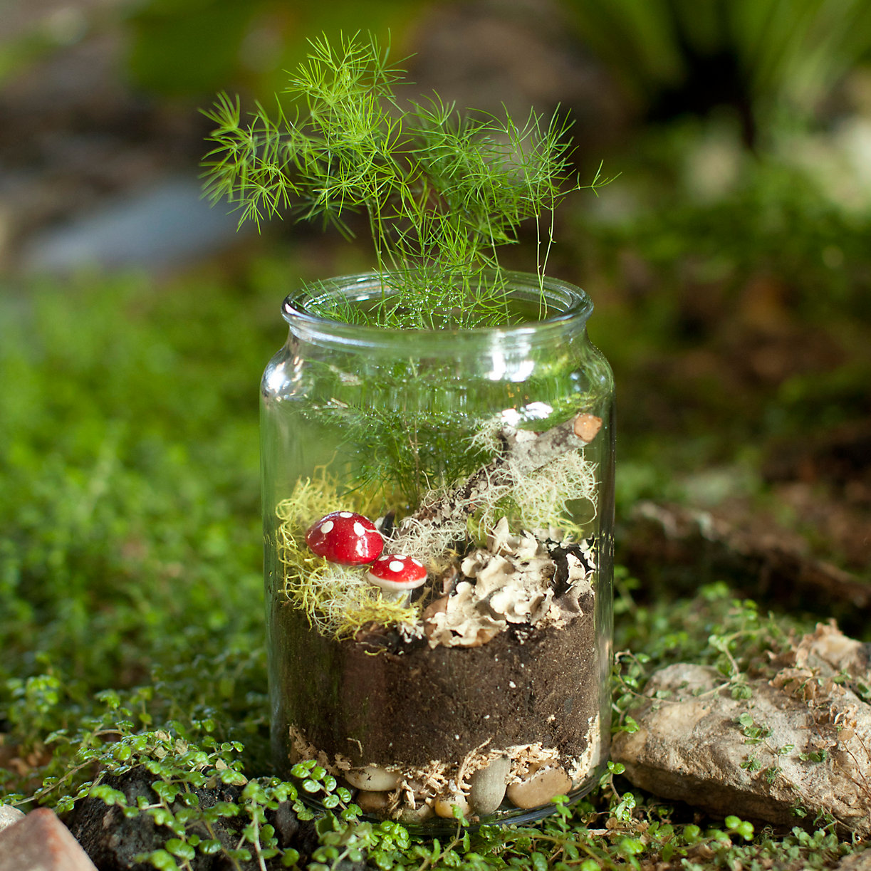 GD-terrarium-kit