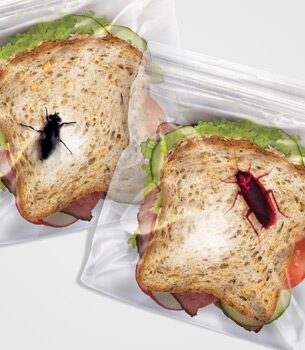 office-buglunchbags Bug Lunch Bags