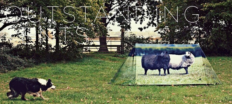 out-tents-sheep