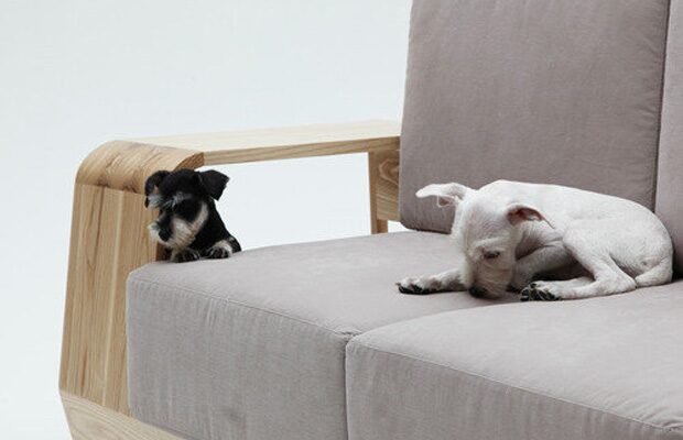 dog-house4