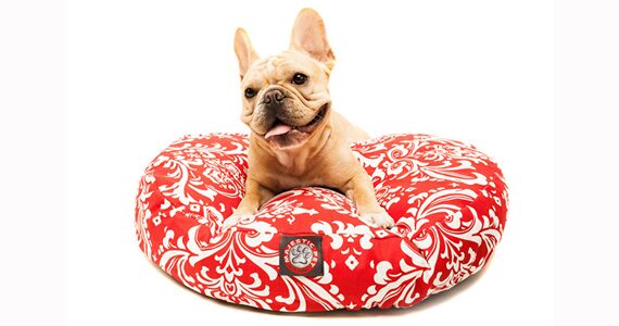Inubar: Design for Pets
