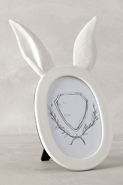 TG-Artic-Hare-Frame