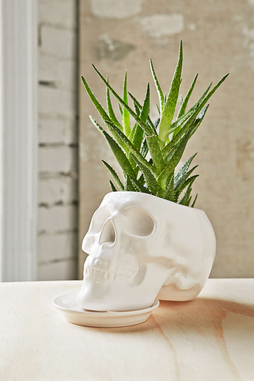 HM-skull-planter